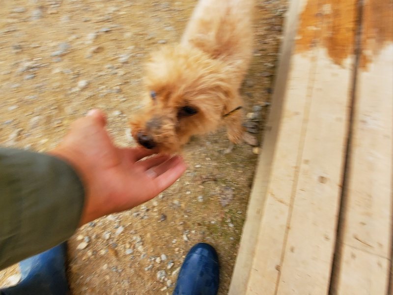 f:id:roukenhome-ann:20191007200744j:plain f:id:roukenhome-ann:20191007200744j:plain