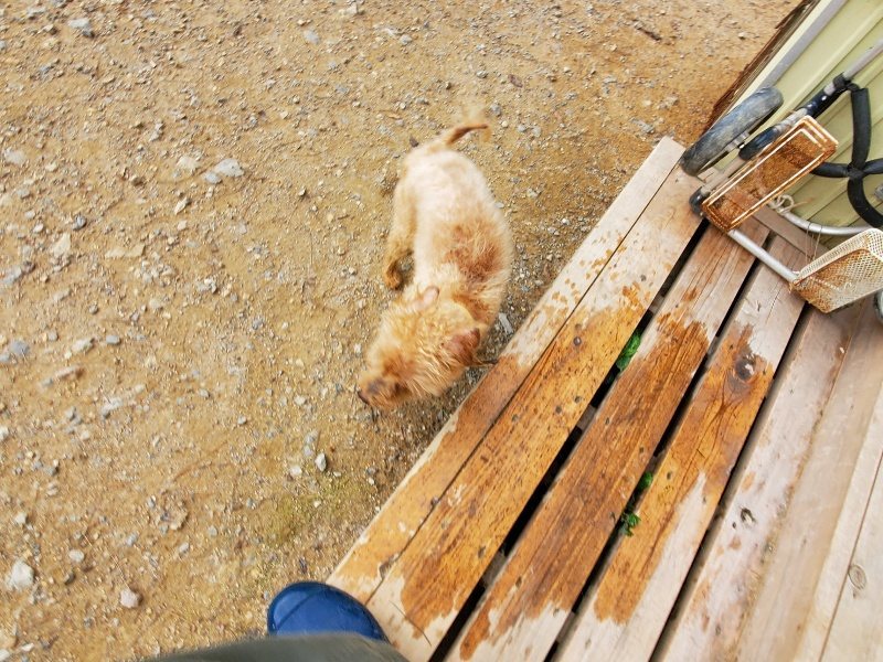 f:id:roukenhome-ann:20191007200801j:plain f:id:roukenhome-ann:20191007200801j:plain