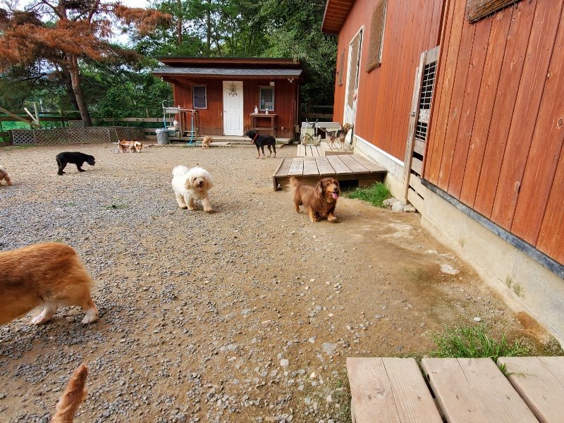 f:id:roukenhome-ann:20191007200909j:plain f:id:roukenhome-ann:20191007200909j:plain