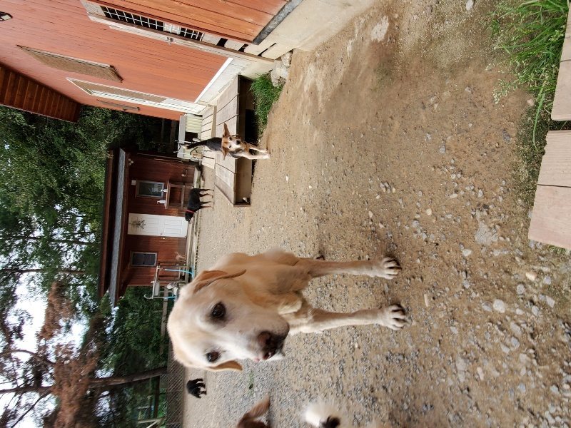 f:id:roukenhome-ann:20191007200942j:plain f:id:roukenhome-ann:20191007200942j:plain