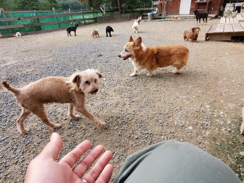 f:id:roukenhome-ann:20191007200952j:plain f:id:roukenhome-ann:20191007200952j:plain