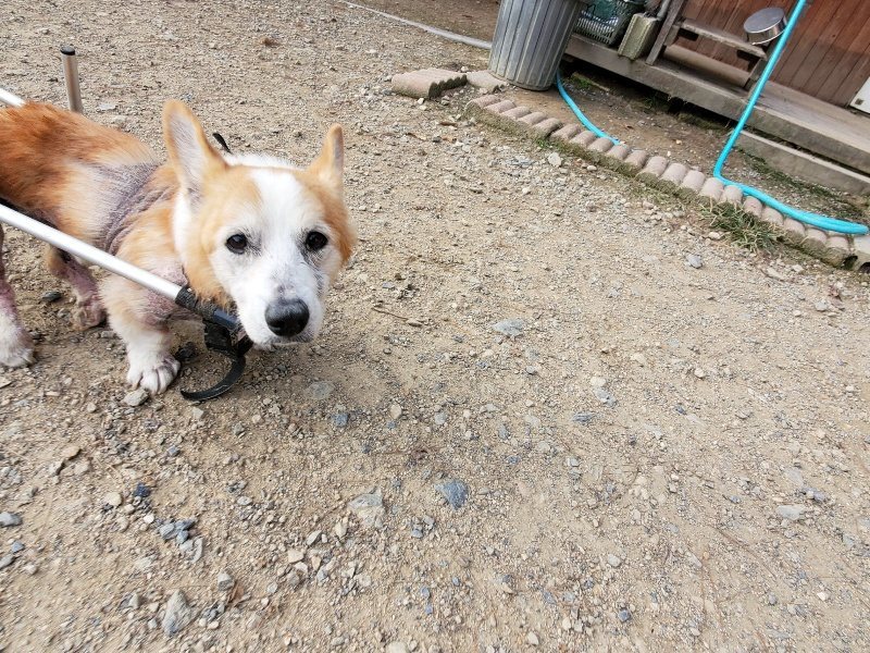 f:id:roukenhome-ann:20191007202731j:plain f:id:roukenhome-ann:20191007202731j:plain