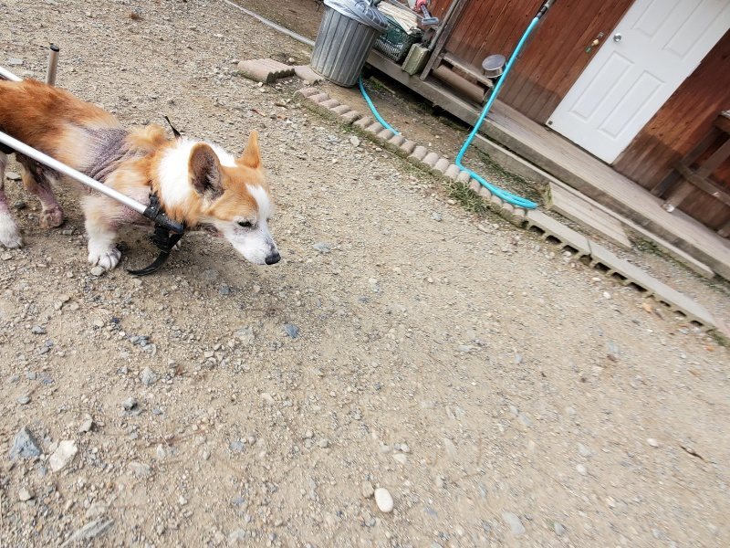 f:id:roukenhome-ann:20191007202745j:plain f:id:roukenhome-ann:20191007202745j:plain