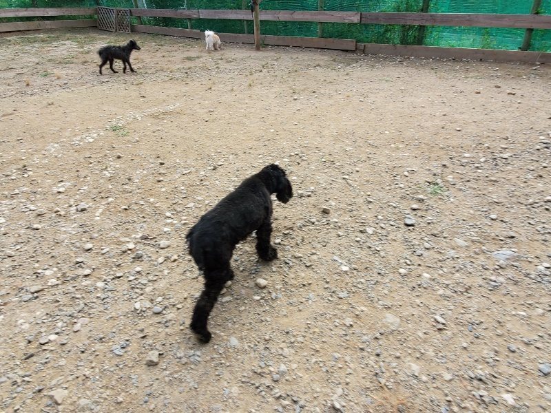 f:id:roukenhome-ann:20191007202754j:plain f:id:roukenhome-ann:20191007202754j:plain