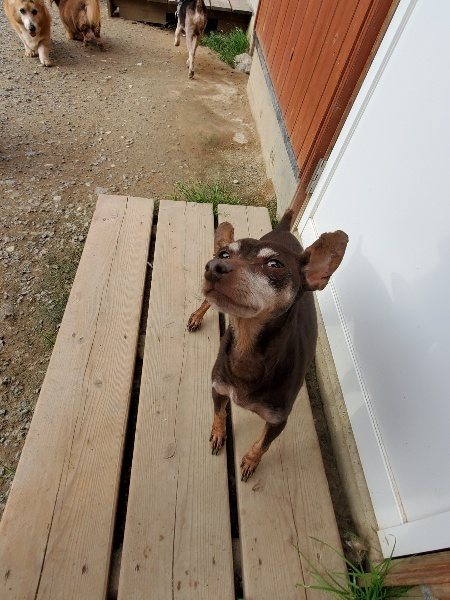 f:id:roukenhome-ann:20191007202813j:plain f:id:roukenhome-ann:20191007202813j:plain