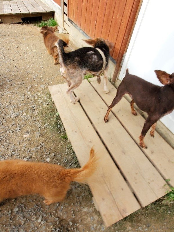 f:id:roukenhome-ann:20191007202819j:plain f:id:roukenhome-ann:20191007202819j:plain