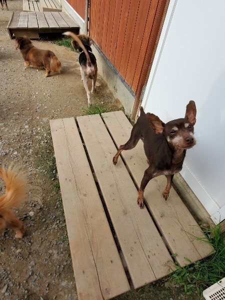 f:id:roukenhome-ann:20191007202829j:plain f:id:roukenhome-ann:20191007202829j:plain