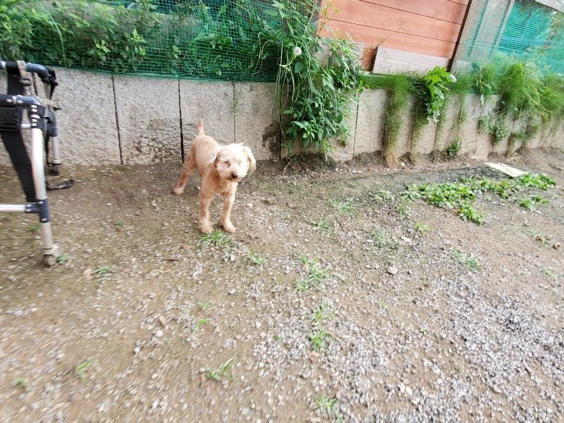 f:id:roukenhome-ann:20191007202853j:plain f:id:roukenhome-ann:20191007202853j:plain