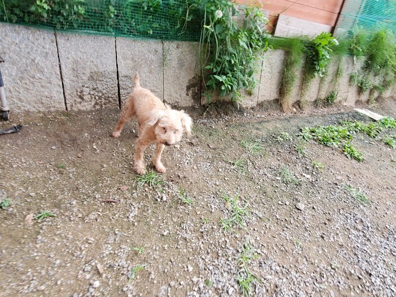 f:id:roukenhome-ann:20191007202902j:plain f:id:roukenhome-ann:20191007202902j:plain