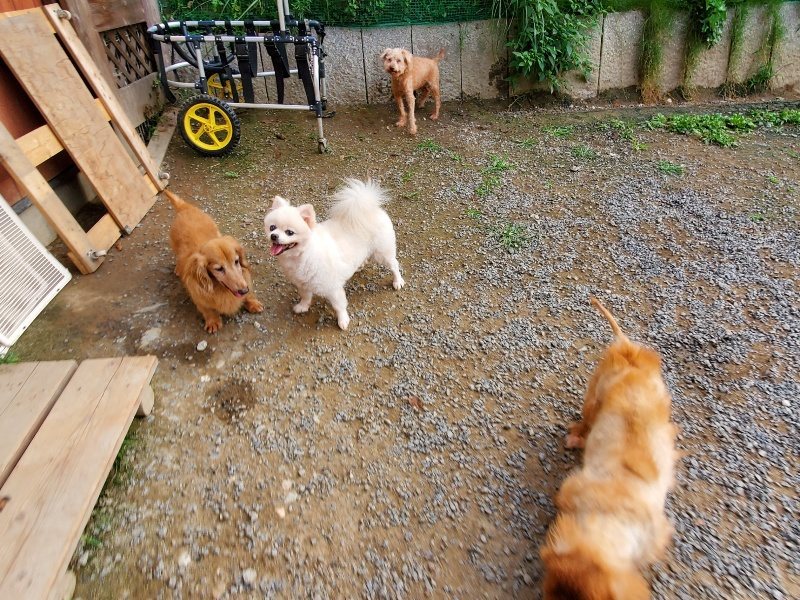 f:id:roukenhome-ann:20191007202912j:plain f:id:roukenhome-ann:20191007202912j:plain