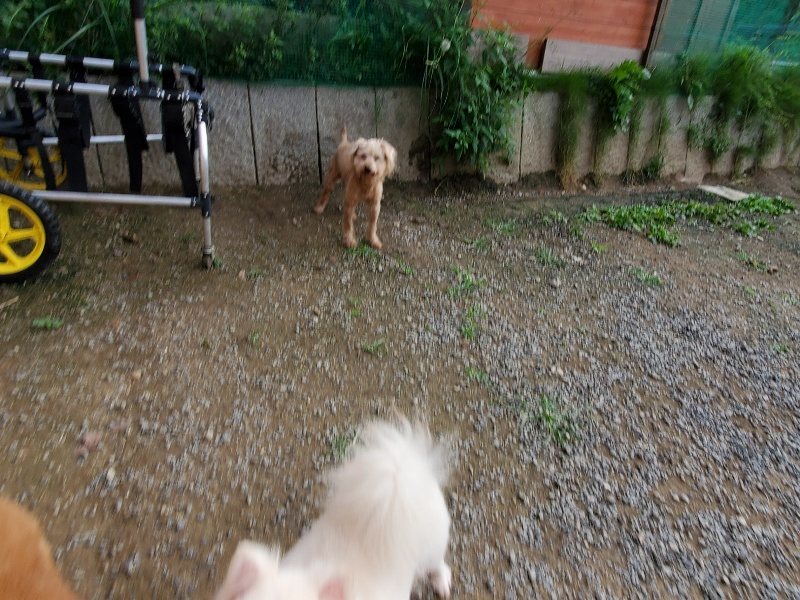 f:id:roukenhome-ann:20191007202920j:plain f:id:roukenhome-ann:20191007202920j:plain