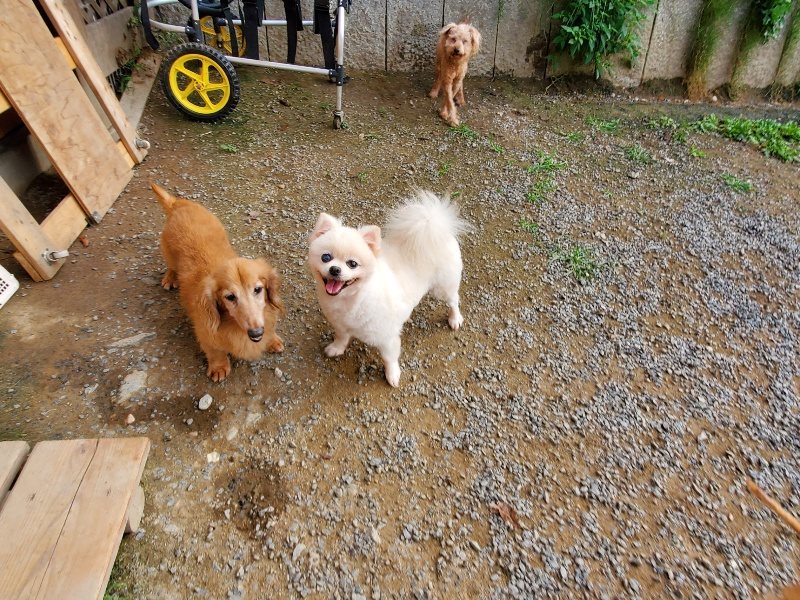 f:id:roukenhome-ann:20191007202936j:plain f:id:roukenhome-ann:20191007202936j:plain