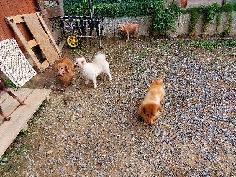 f:id:roukenhome-ann:20191007202951j:plain f:id:roukenhome-ann:20191007202951j:plain