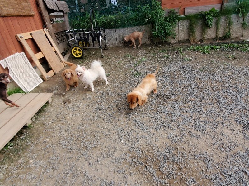 f:id:roukenhome-ann:20191007203004j:plain f:id:roukenhome-ann:20191007203004j:plain