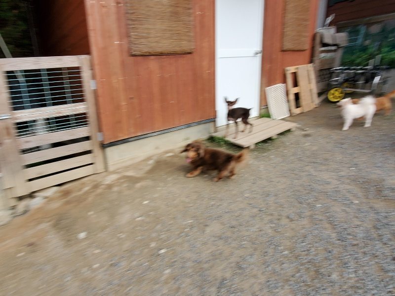 f:id:roukenhome-ann:20191007203013j:plain f:id:roukenhome-ann:20191007203013j:plain