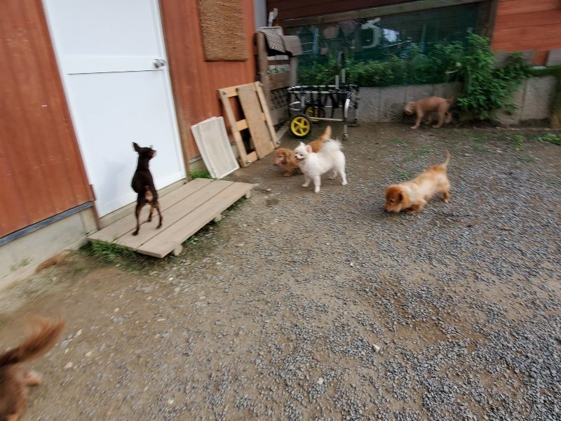 f:id:roukenhome-ann:20191007203037j:plain f:id:roukenhome-ann:20191007203037j:plain