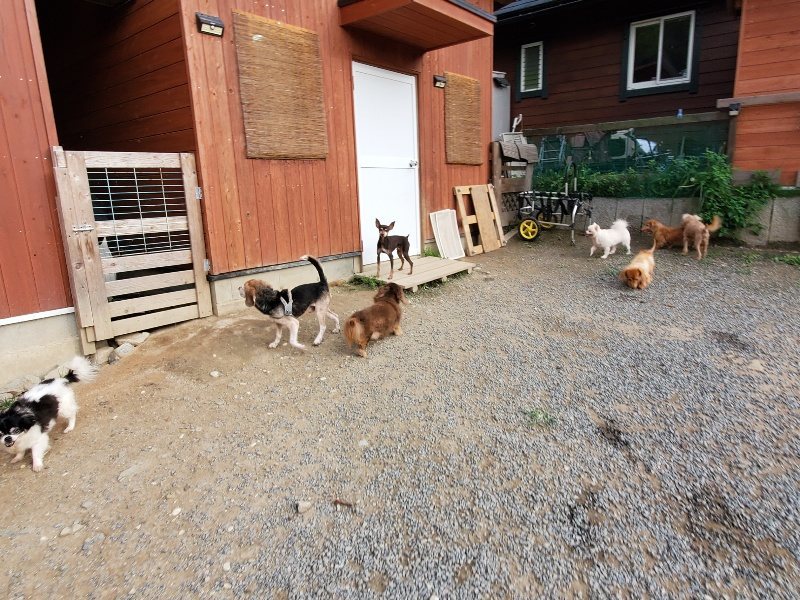 f:id:roukenhome-ann:20191007203045j:plain f:id:roukenhome-ann:20191007203045j:plain