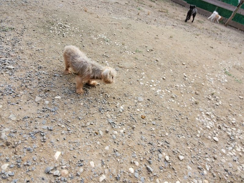 f:id:roukenhome-ann:20191007203055j:plain f:id:roukenhome-ann:20191007203055j:plain