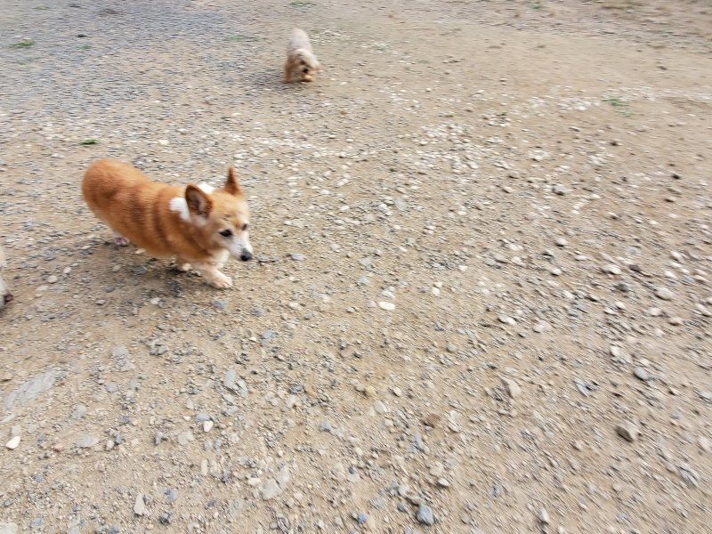 f:id:roukenhome-ann:20191007203121j:plain f:id:roukenhome-ann:20191007203121j:plain