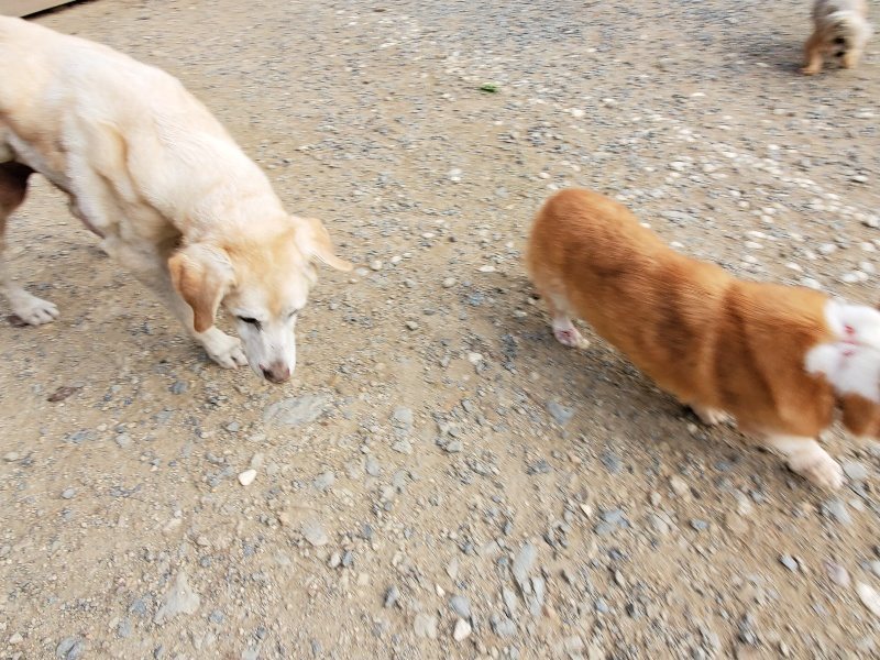 f:id:roukenhome-ann:20191007203141j:plain f:id:roukenhome-ann:20191007203141j:plain