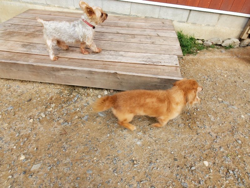 f:id:roukenhome-ann:20191007204437j:plain f:id:roukenhome-ann:20191007204437j:plain