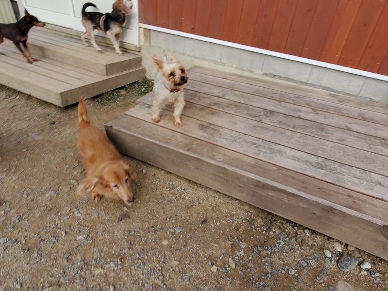 f:id:roukenhome-ann:20191007204643j:plain f:id:roukenhome-ann:20191007204643j:plain