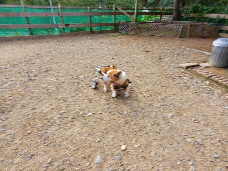 f:id:roukenhome-ann:20191007204946j:plain f:id:roukenhome-ann:20191007204946j:plain