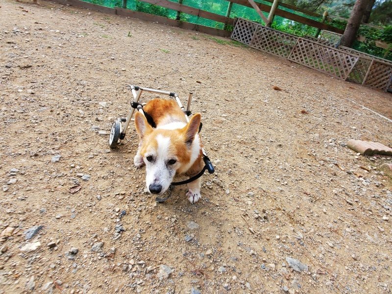 f:id:roukenhome-ann:20191007205024j:plain f:id:roukenhome-ann:20191007205024j:plain