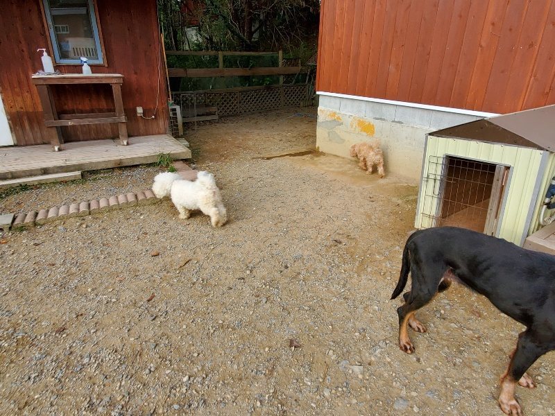 f:id:roukenhome-ann:20191007205121j:plain f:id:roukenhome-ann:20191007205121j:plain