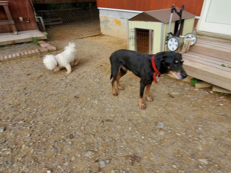 f:id:roukenhome-ann:20191007205159j:plain f:id:roukenhome-ann:20191007205159j:plain