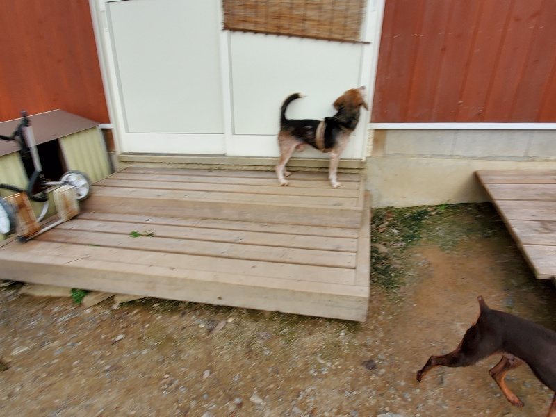f:id:roukenhome-ann:20191007205400j:plain f:id:roukenhome-ann:20191007205400j:plain