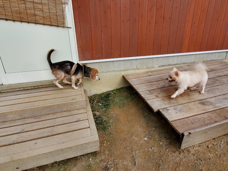 f:id:roukenhome-ann:20191007205437j:plain f:id:roukenhome-ann:20191007205437j:plain