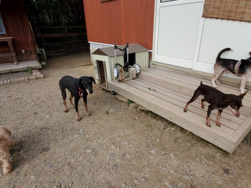 f:id:roukenhome-ann:20191007205501j:plain f:id:roukenhome-ann:20191007205501j:plain