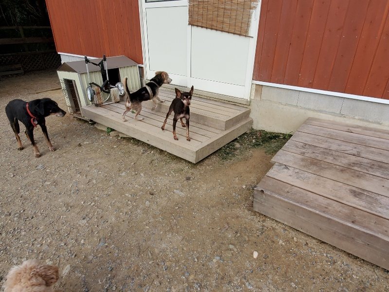 f:id:roukenhome-ann:20191007205552j:plain f:id:roukenhome-ann:20191007205552j:plain