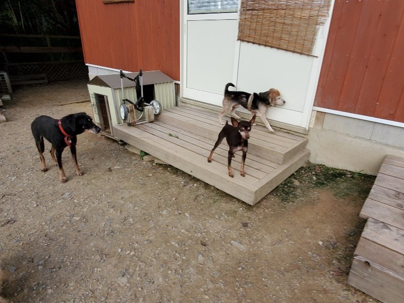 f:id:roukenhome-ann:20191007205633j:plain f:id:roukenhome-ann:20191007205633j:plain