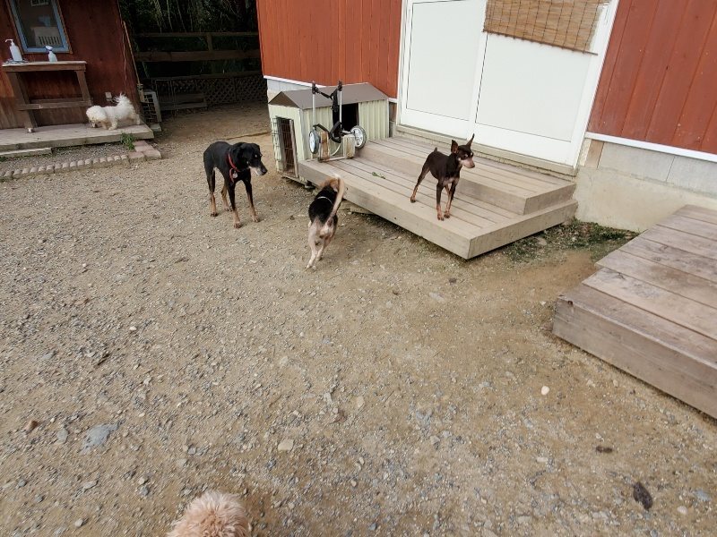 f:id:roukenhome-ann:20191007205703j:plain f:id:roukenhome-ann:20191007205703j:plain