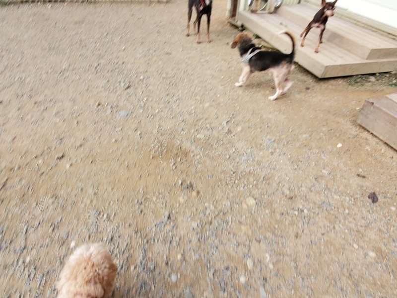 f:id:roukenhome-ann:20191007205944j:plain f:id:roukenhome-ann:20191007205944j:plain
