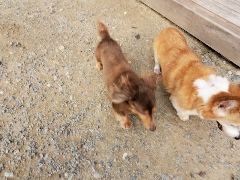 f:id:roukenhome-ann:20191007210013j:plain f:id:roukenhome-ann:20191007210013j:plain