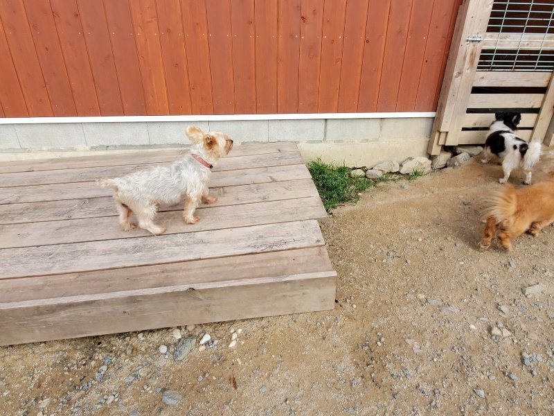 f:id:roukenhome-ann:20191007210040j:plain f:id:roukenhome-ann:20191007210040j:plain