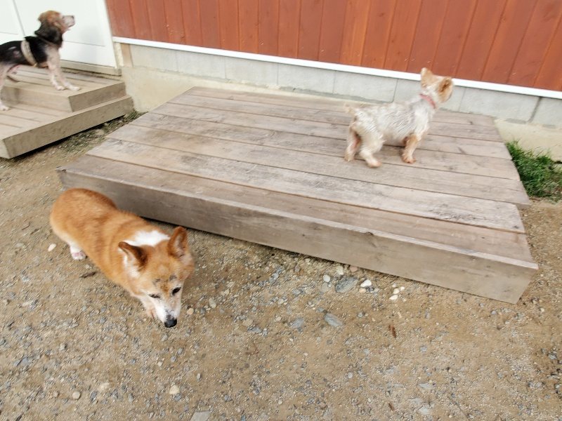 f:id:roukenhome-ann:20191007210057j:plain f:id:roukenhome-ann:20191007210057j:plain