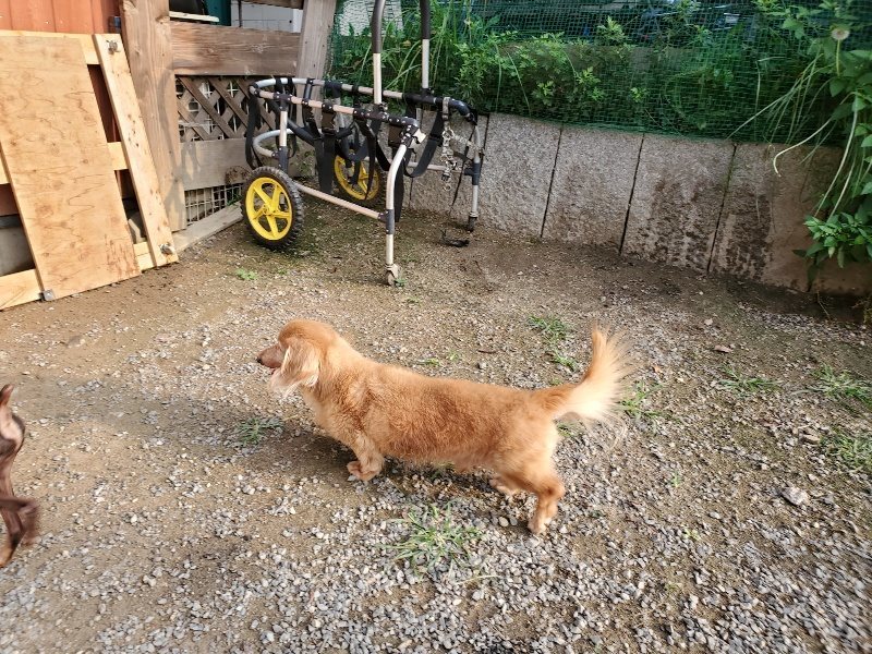 f:id:roukenhome-ann:20191008111502j:plain
