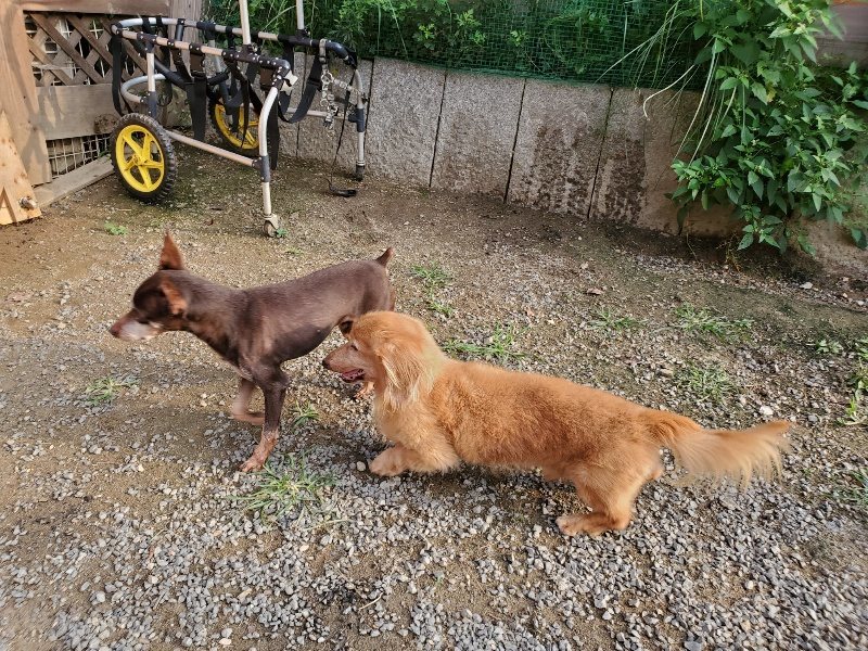 f:id:roukenhome-ann:20191008111510j:plain