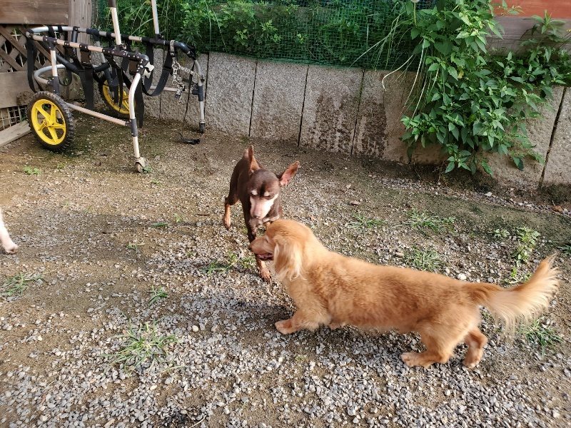 f:id:roukenhome-ann:20191008111520j:plain