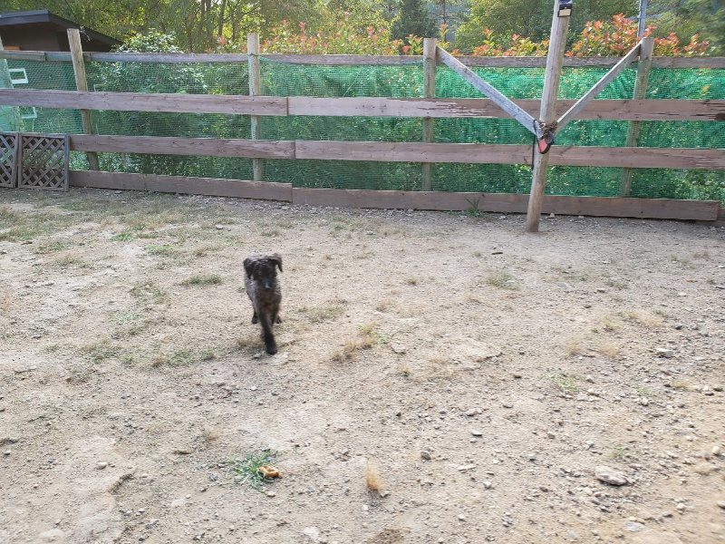 f:id:roukenhome-ann:20191008111534j:plain