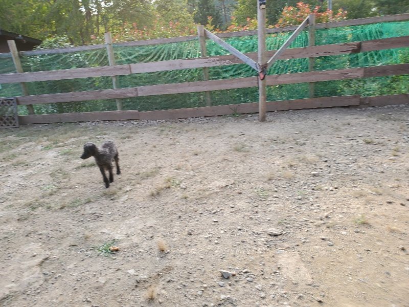 f:id:roukenhome-ann:20191008111547j:plain