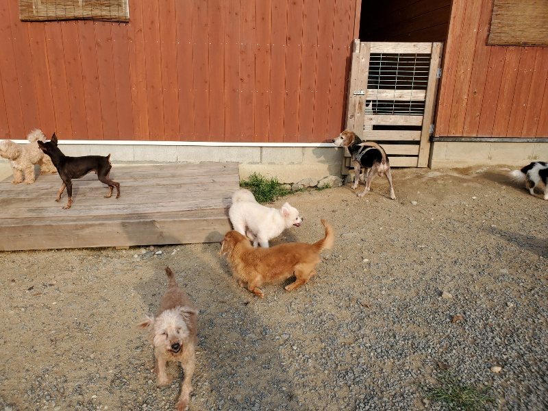 f:id:roukenhome-ann:20191008111559j:plain