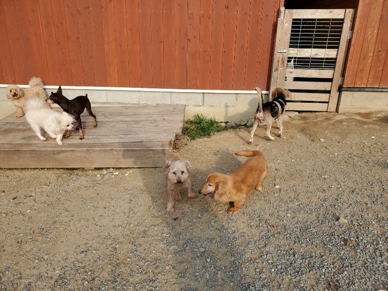 f:id:roukenhome-ann:20191008111605j:plain