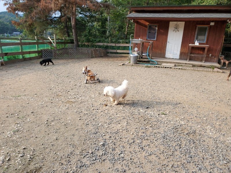 f:id:roukenhome-ann:20191008111637j:plain