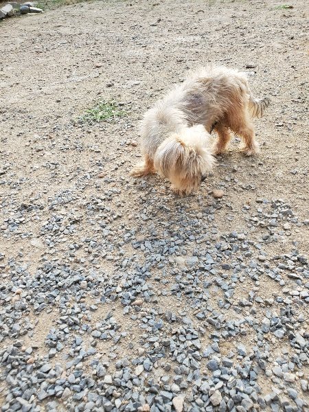 f:id:roukenhome-ann:20191008111642j:plain
