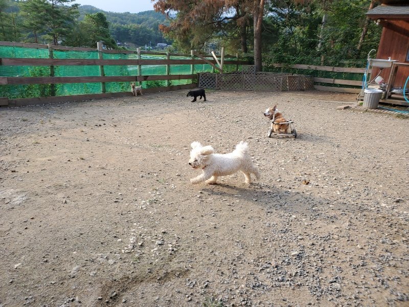f:id:roukenhome-ann:20191008111649j:plain